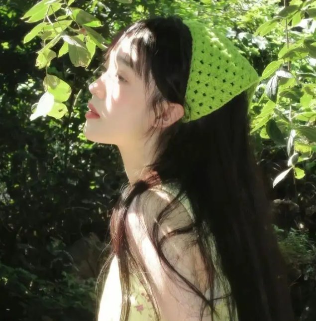 领航人